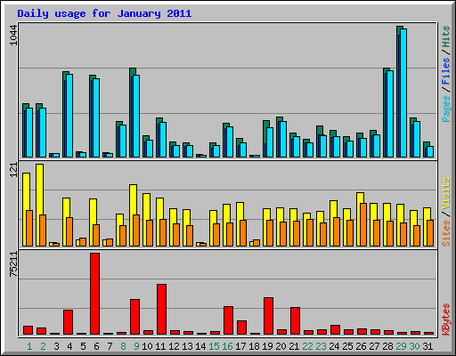 Daily usage for January 2011