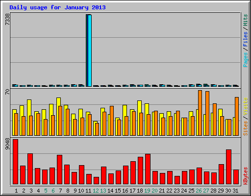 Daily usage for January 2013