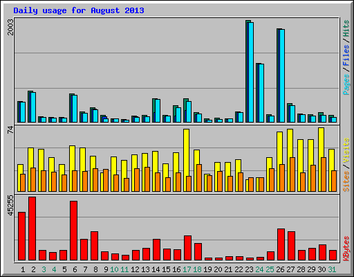 Daily usage for August 2013