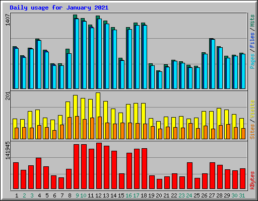 Daily usage for January 2021