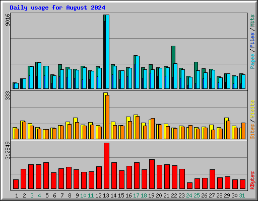 Daily usage for August 2024