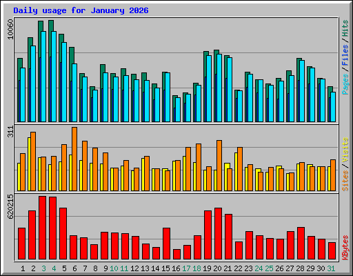 Daily usage for January 2026