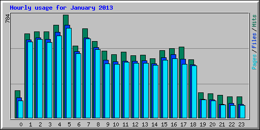 Hourly usage for January 2013