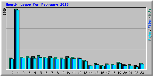 Hourly usage for February 2013