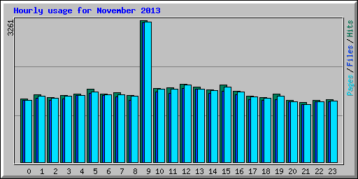 Hourly usage for November 2013