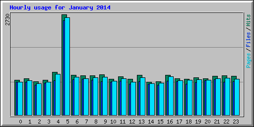 Hourly usage for January 2014