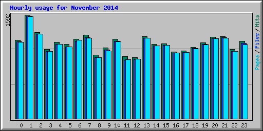 Hourly usage for November 2014