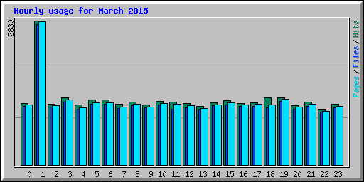 Hourly usage for March 2015