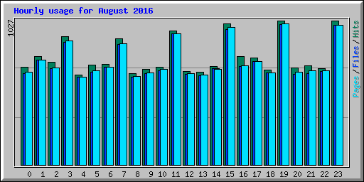 Hourly usage for August 2016