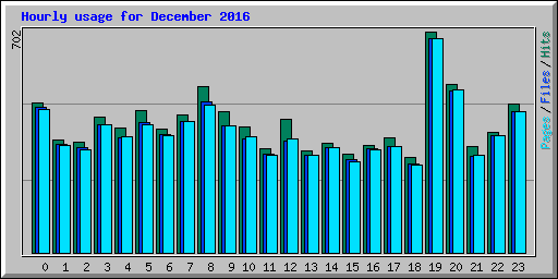 Hourly usage for December 2016