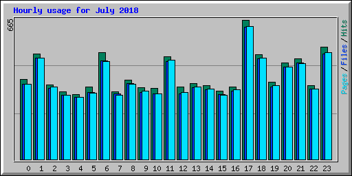 Hourly usage for July 2018