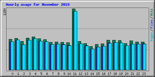 Hourly usage for November 2019