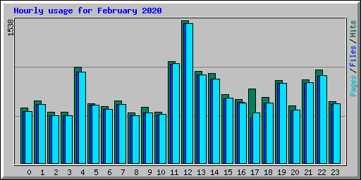 Hourly usage for February 2020