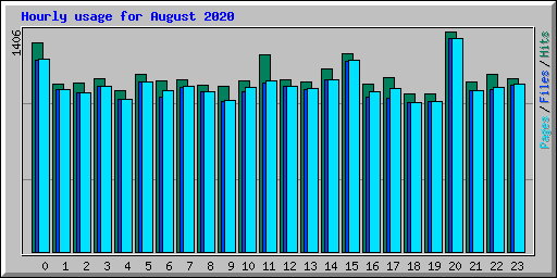 Hourly usage for August 2020