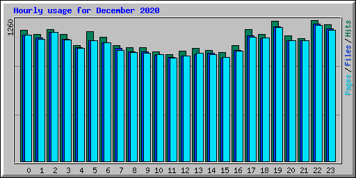 Hourly usage for December 2020