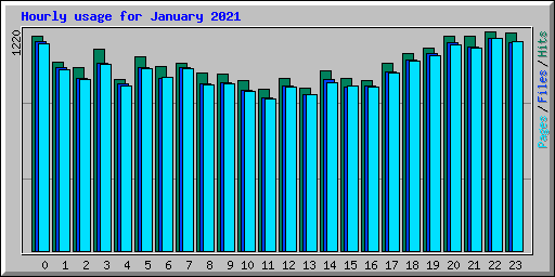 Hourly usage for January 2021