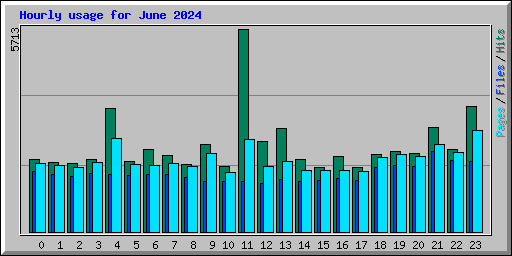 Hourly usage for June 2024