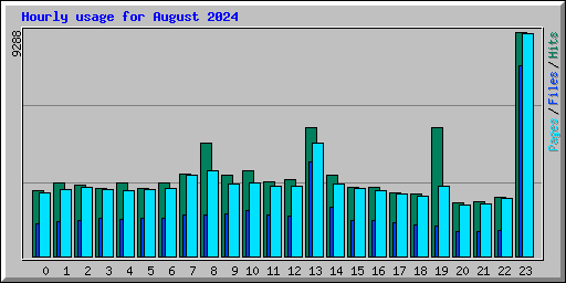 Hourly usage for August 2024