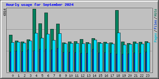 Hourly usage for September 2024