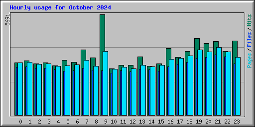 Hourly usage for October 2024