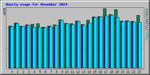 Hourly usage for November 2024