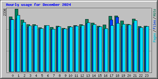 Hourly usage for December 2024