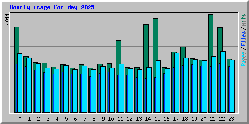 Hourly usage for May 2025