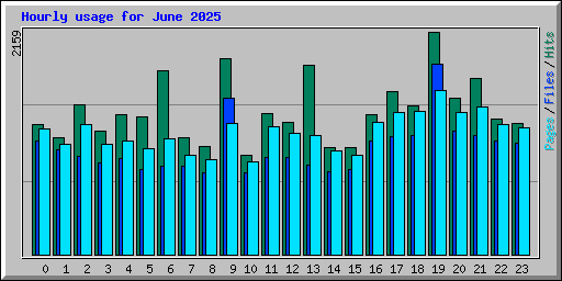Hourly usage for June 2025