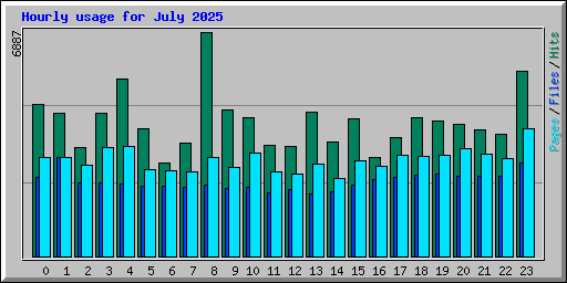 Hourly usage for July 2025
