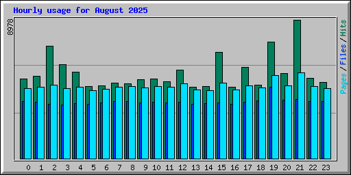 Hourly usage for August 2025