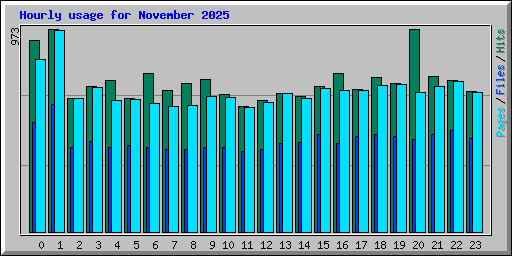 Hourly usage for November 2025