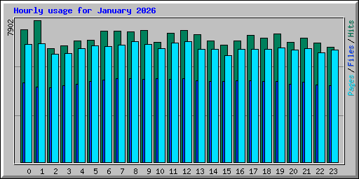 Hourly usage for January 2026