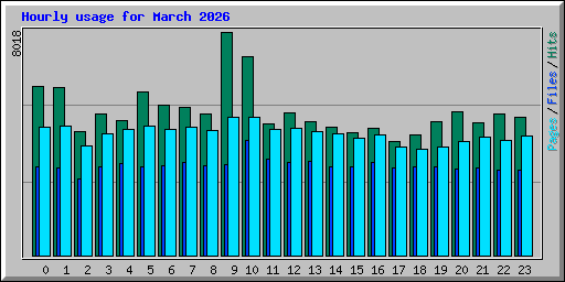 Hourly usage for March 2026