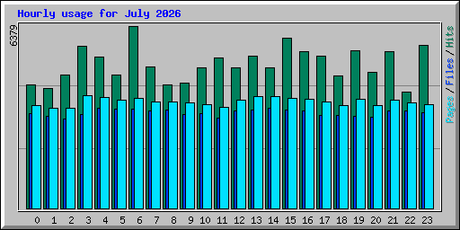 Hourly usage for July 2026
